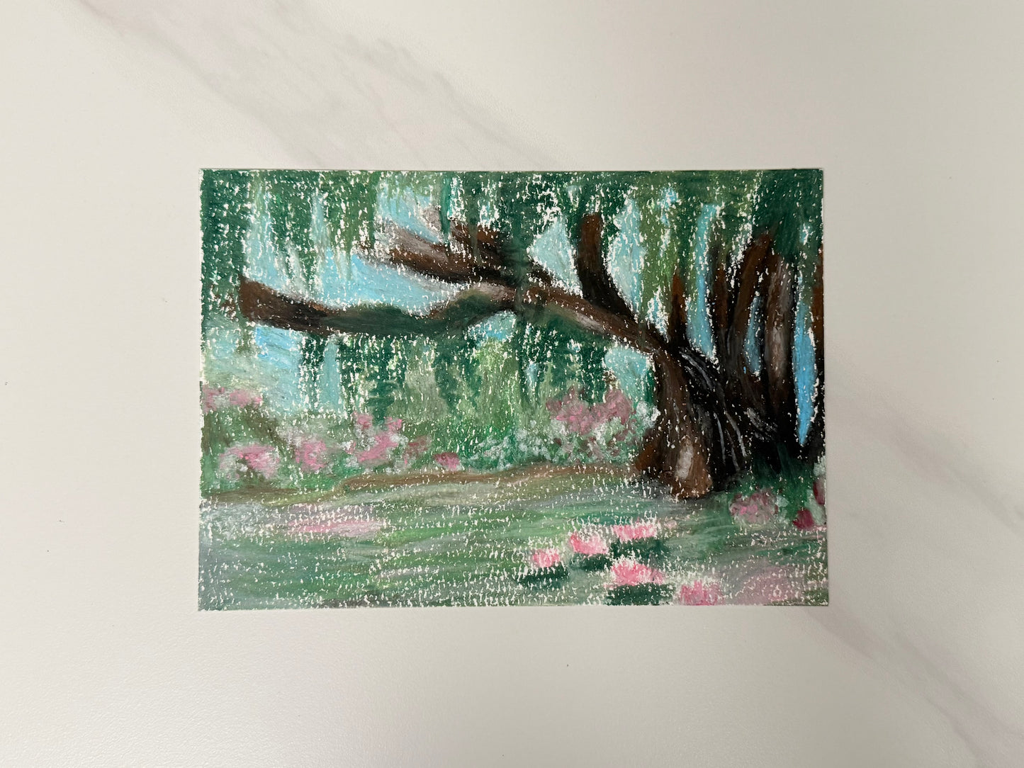 Quiet forest